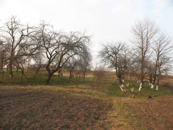 Подусів з panoramio.com - Подусів