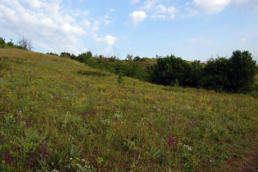 Єпіфанівка з panoramio.com - Епифановка