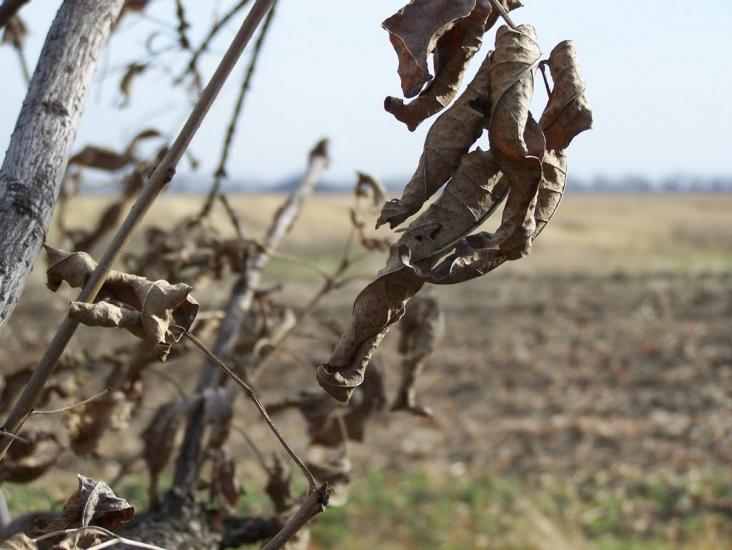 Дзержинський з panoramio.com - Дзержинський