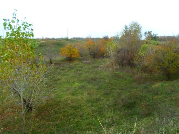Софіївка Перша з panoramio.com - Софиевка Первая