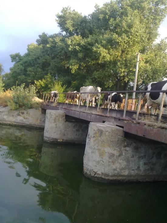 Андрушки з panoramio.com - Андрушки