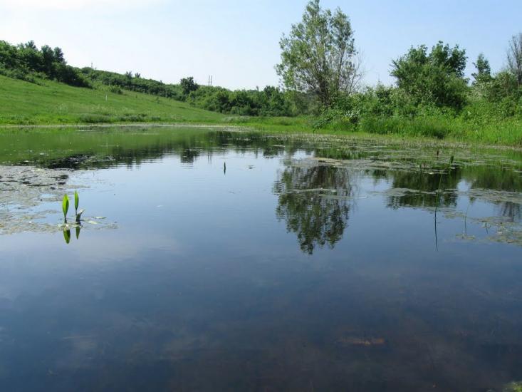 Нова Прага з panoramio.com - Нова Прага
