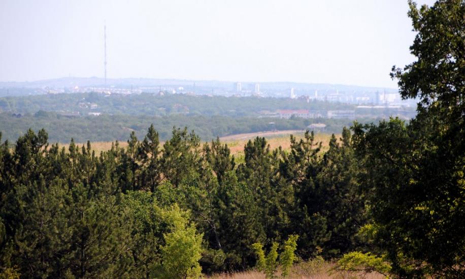 Фруктове з panoramio.com - Фруктовое