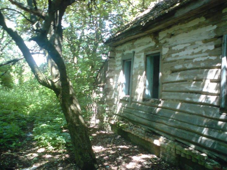 Деревини з panoramio.com - Derevyny