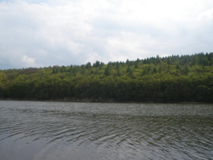 Кокошинці з panoramio.com - Кокошинці