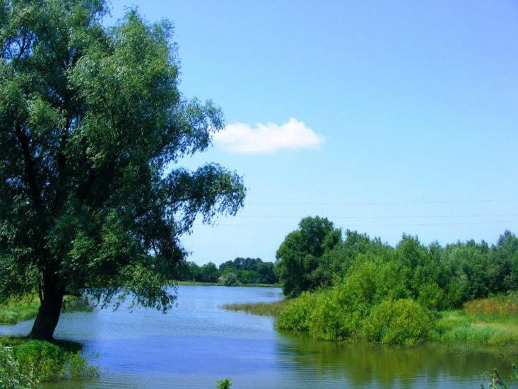 Вороне з panoramio.com - Вороне