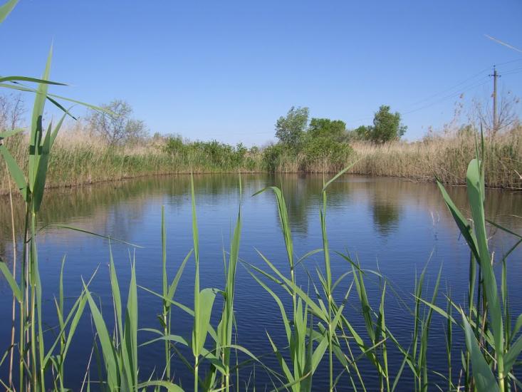 Солонці з panoramio.com - Солонцы