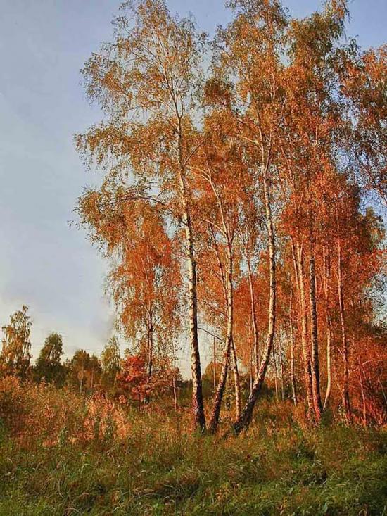 Колодниця з panoramio.com - Колодниця