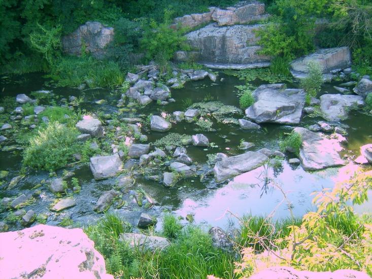 Буки з panoramio.com - Буки