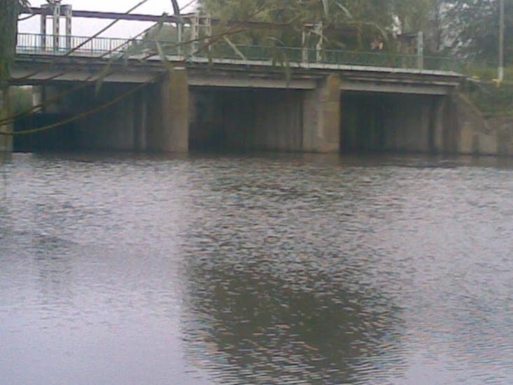 Веселий Кут з panoramio.com - Веселый Кут