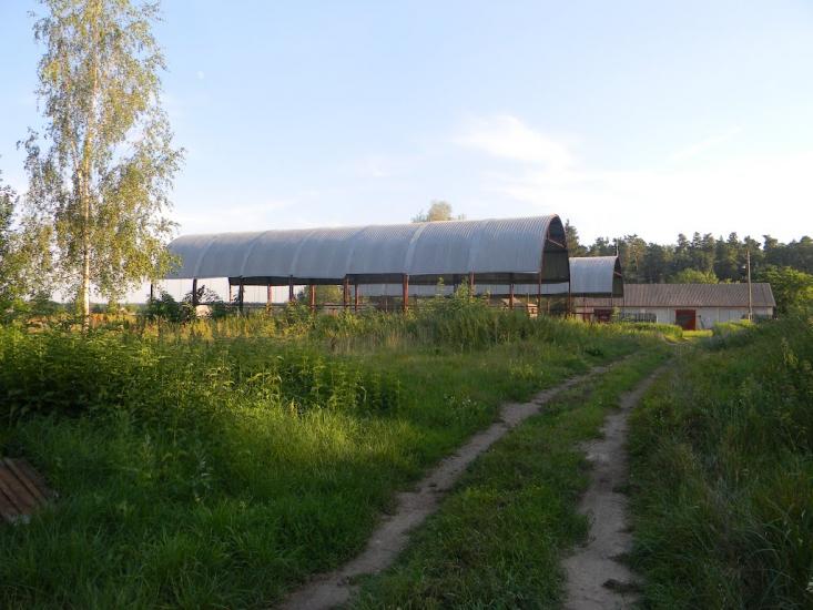 Дубіївка з panoramio.com - Дубиевка