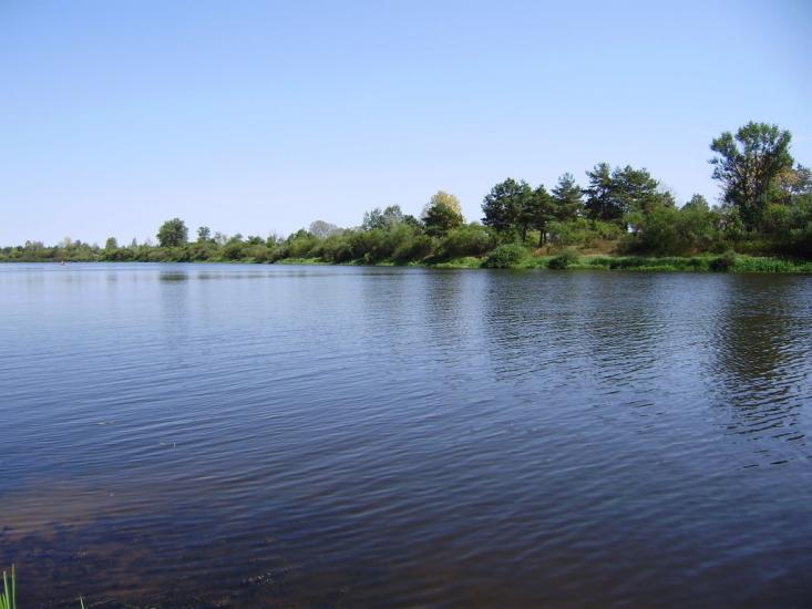 Жукин з panoramio.com - Жукин