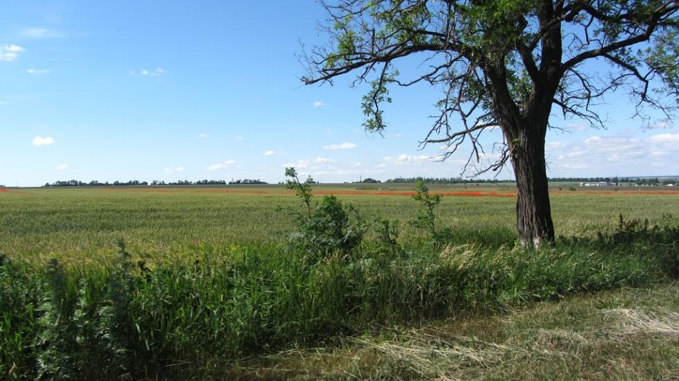 Панкратове з panoramio.com - Панкратово