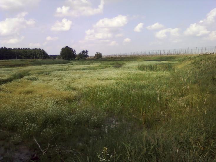 Ражнів з panoramio.com - Ражнів