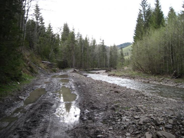 Нижній Яловець з panoramio.com - Нижній Яловець