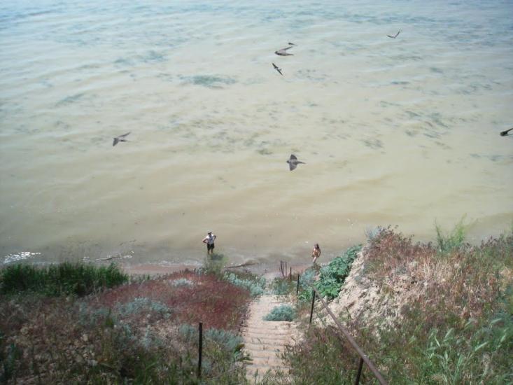 Лупареве з panoramio.com - Лупарево