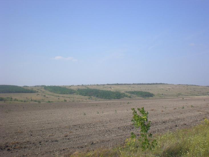 Липове з panoramio.com - Липовое