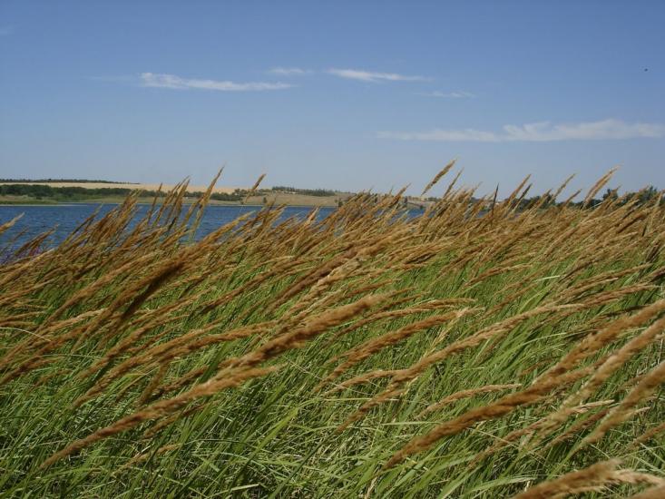 Родникове з panoramio.com - Родниково