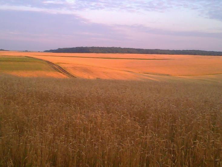 Сатиїв з panoramio.com - Сатыев