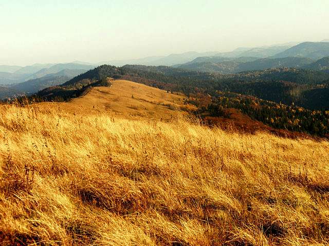 Кіндратів - Кіндратів