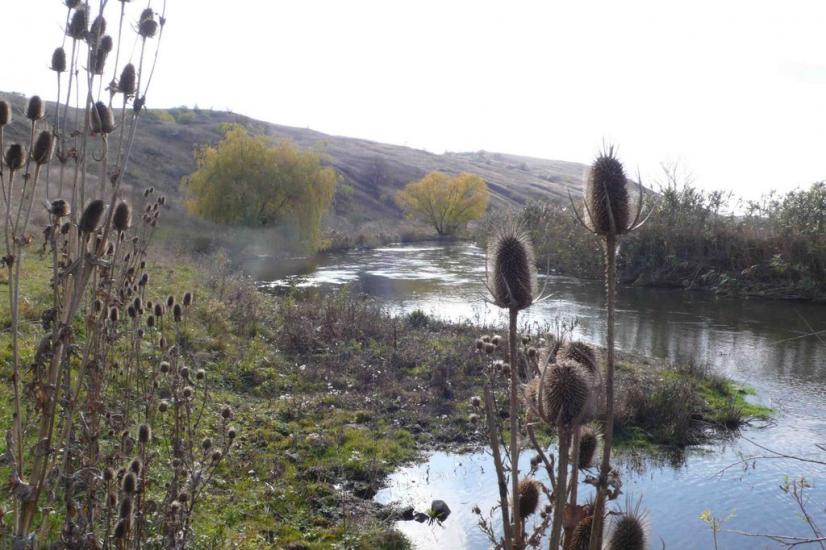 Новокатеринівка з panoramio.com - Новокатериновка