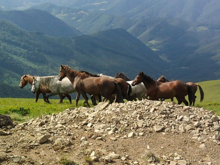 Біла Церква з panoramio.com - Біла Церква