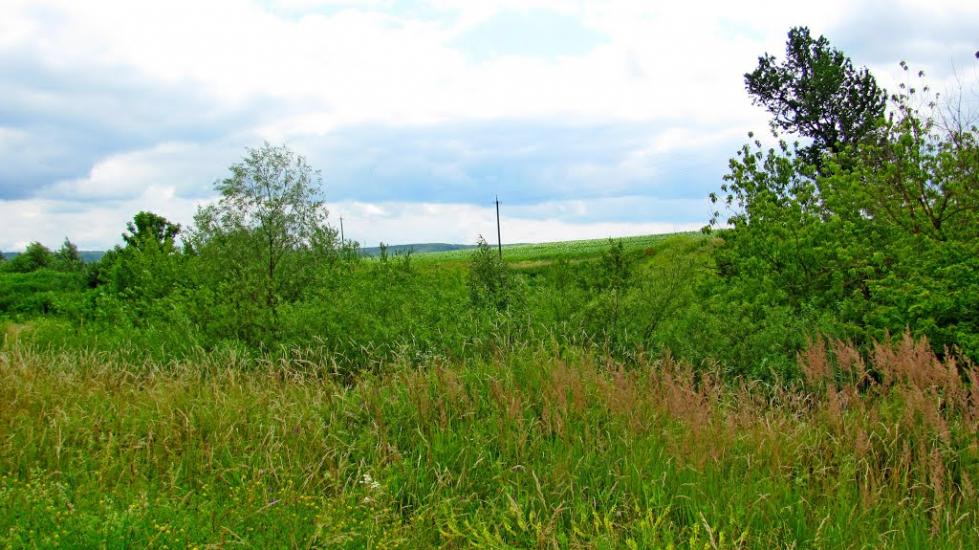 Суходоли з panoramio.com - Sukhodoly