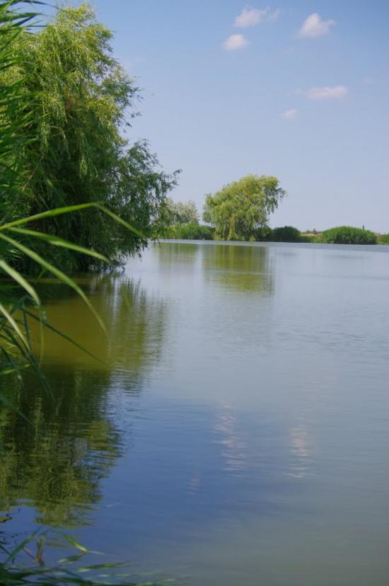 Нова Деревня з panoramio.com - Нова Деревня