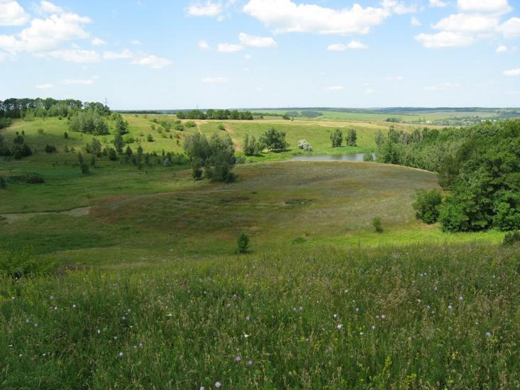 Вільшани з panoramio.com - Ольшаны