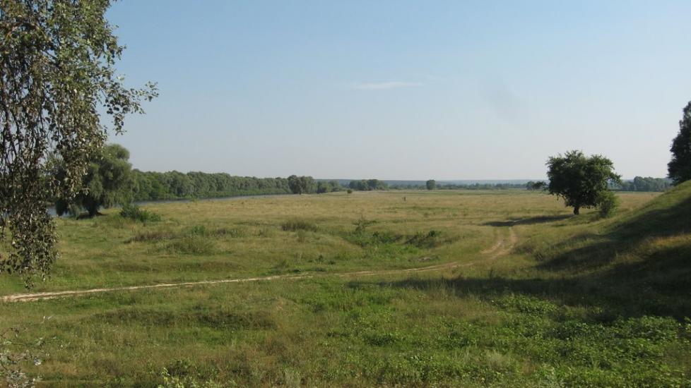 Мезин з panoramio.com - Мезин