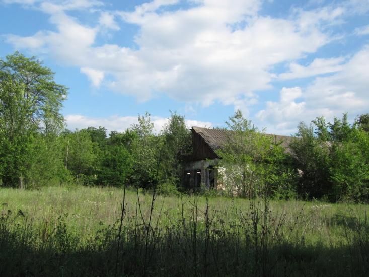 Зелений Гай з panoramio.com - Зеленый Гай