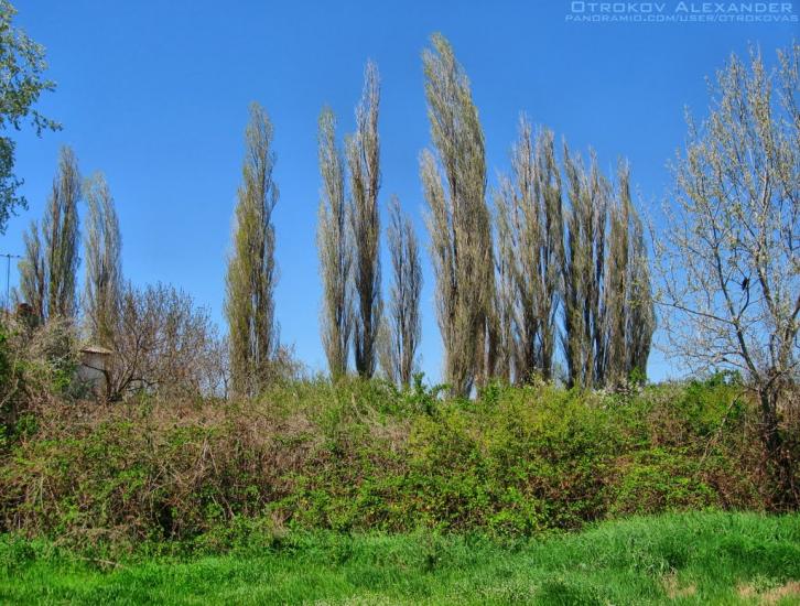 Некрасовка з panoramio.com - Некрасовка