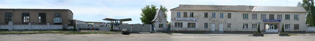 Жашків з panoramio.com - Жашков