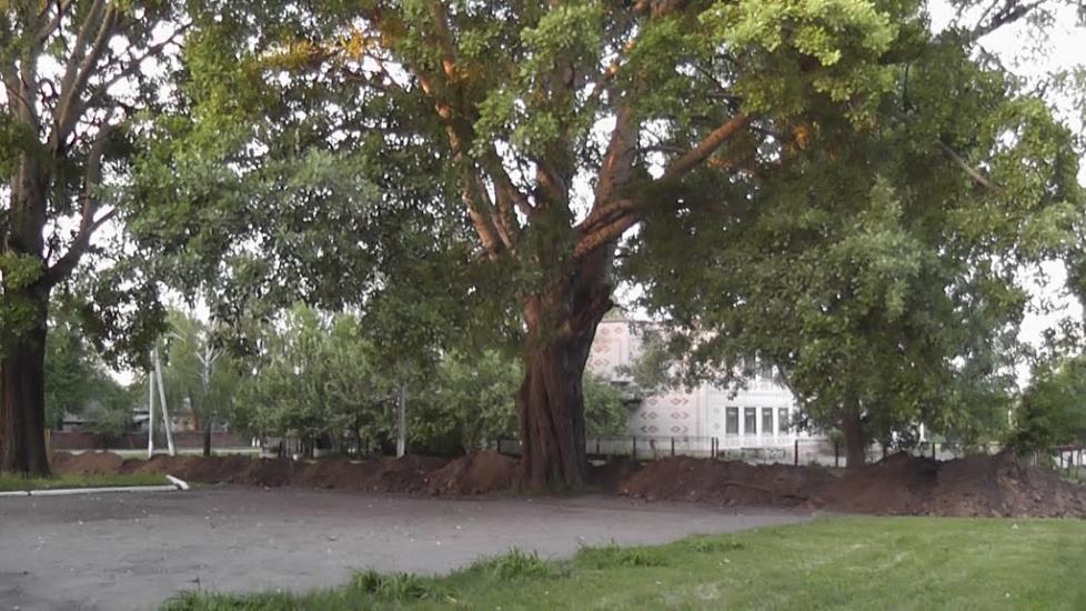 Саї з panoramio.com - Саї