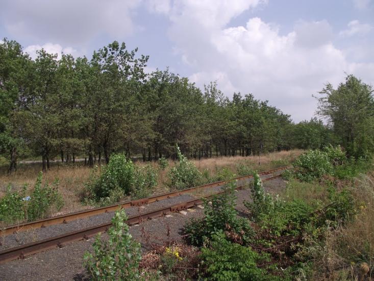 Мирне з panoramio.com - Мирне