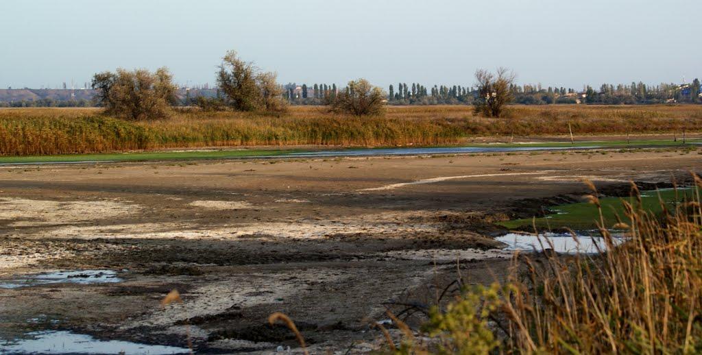 Кошари з panoramio.com - Кошары