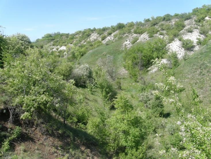 Айдар-Миколаївка з panoramio.com - Айдар-Николаевка