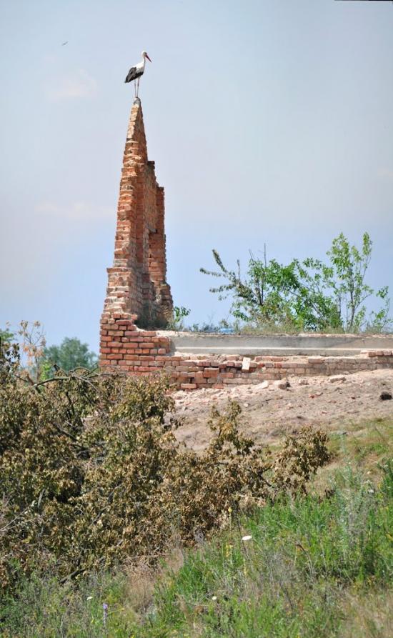 Шаліївка з panoramio.com - Шаліївка