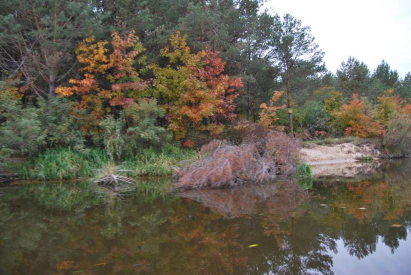 Прохорів з panoramio.com - Прохоров