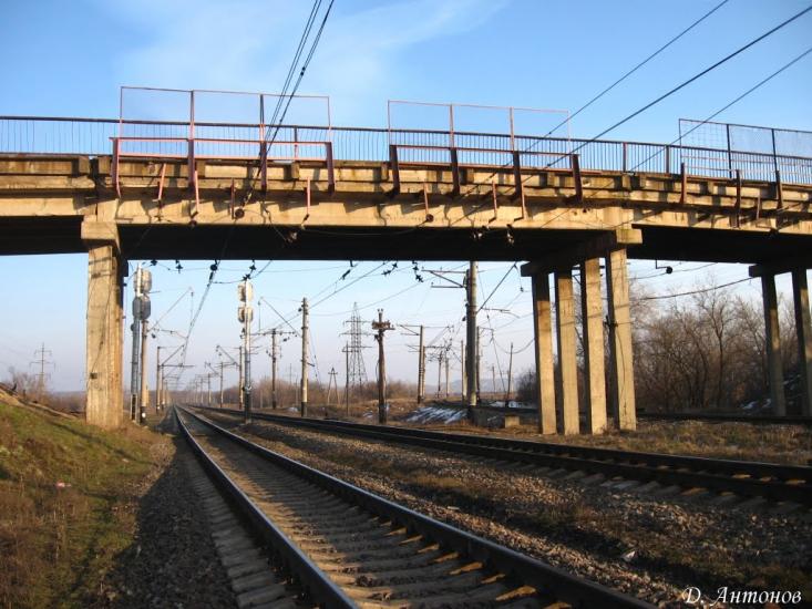 Зелений Гай з panoramio.com - Зеленый Гай