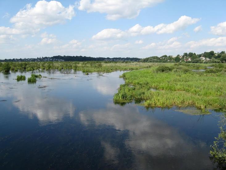 Великий Глибочок з panoramio.com - Velykyy Glybochok