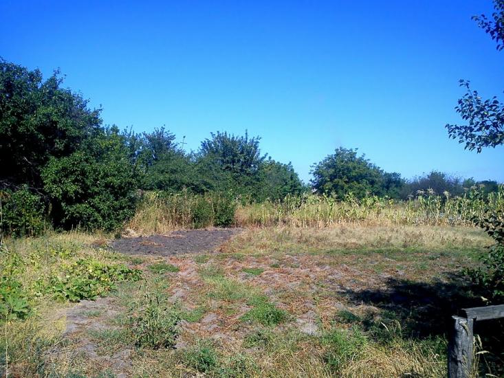 Новоселівка з panoramio.com - Новоселівка