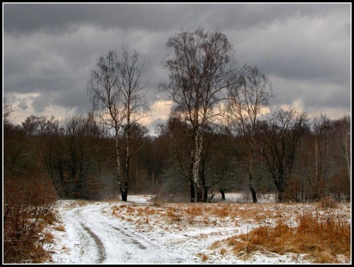 Бужанка з panoramio.com - Buzhanka