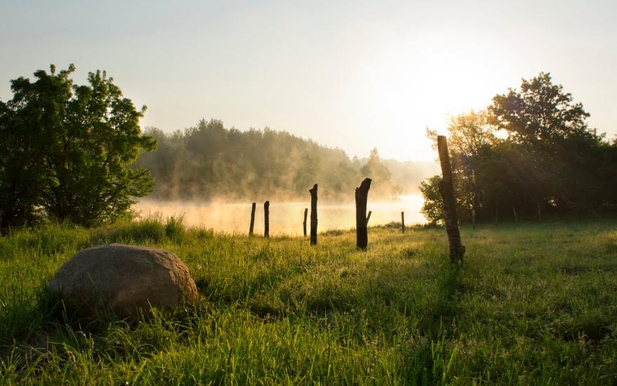 Буки з panoramio.com - Буки