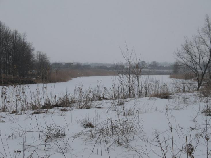 Комар з panoramio.com - Комар