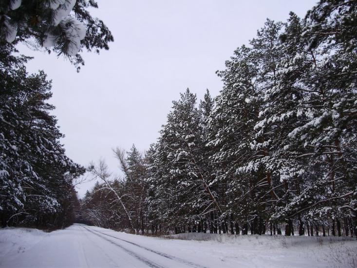 Кочережки з panoramio.com - Кочережки