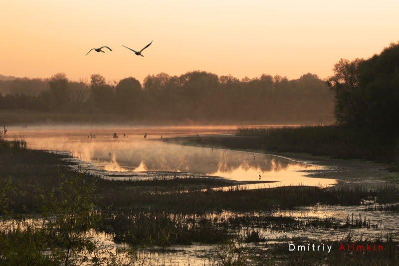 Сергіївка з panoramio.com - Сергіївка
