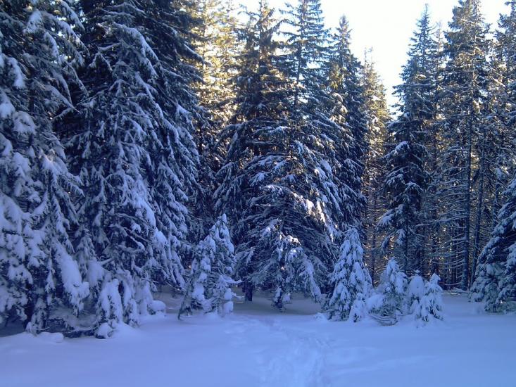 Вороненко з panoramio.com - Voronenko