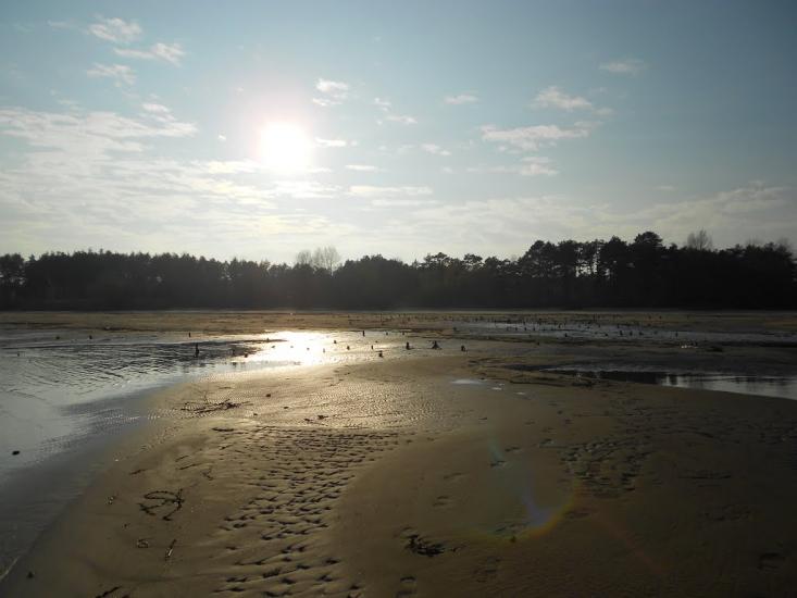 Баталий з panoramio.com - Баталий