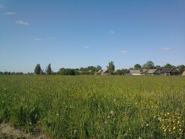 Липне з panoramio.com - Липне